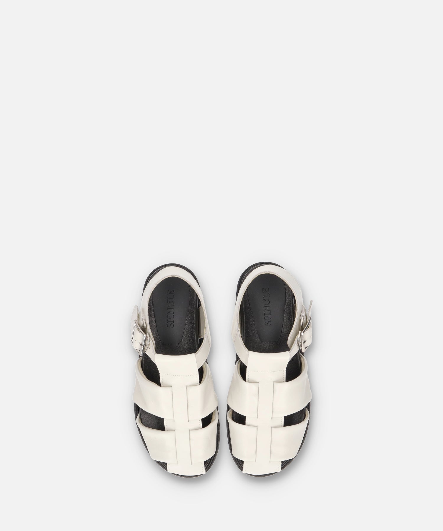 SP-1713 Ivory - SPINGLE